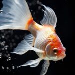 e6d78e99b19b057e00facf337a7f5ce0