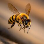 {"aigc_info":{"aigc_label_type":0,"source_info":"dreamina"},"data":{"os":"web","product":"dreamina","exportType":"generation","pictureId":"0"}}